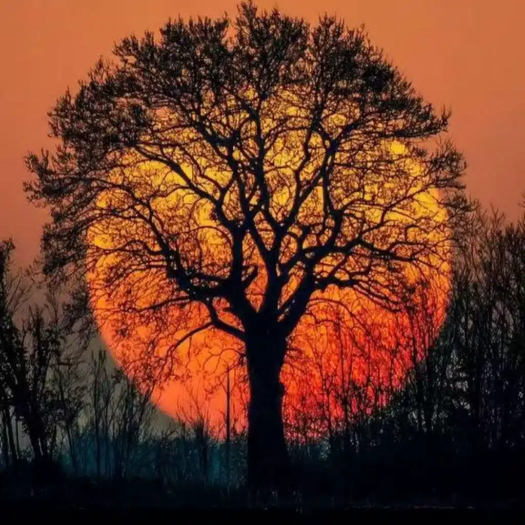 一觉到天亮｜疗愈失眠纯音乐｜助眠轻音乐