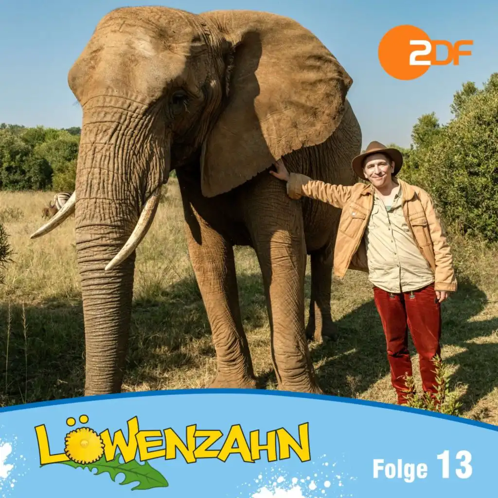 Löwenzahn
