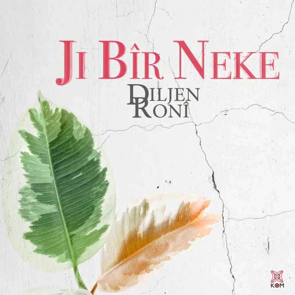 Ji Bîr Neke