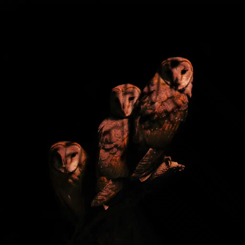 the shape of emptiness