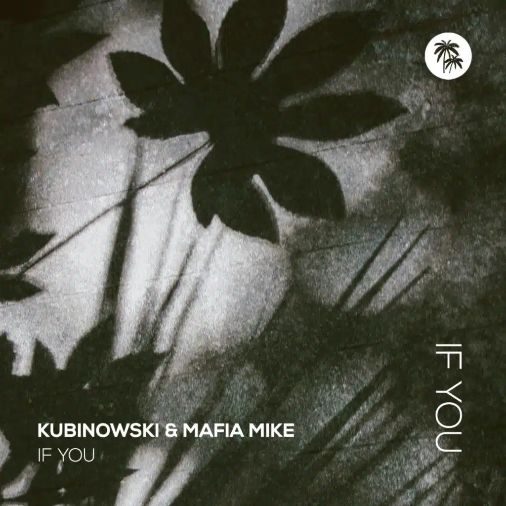 If You (Extended)
