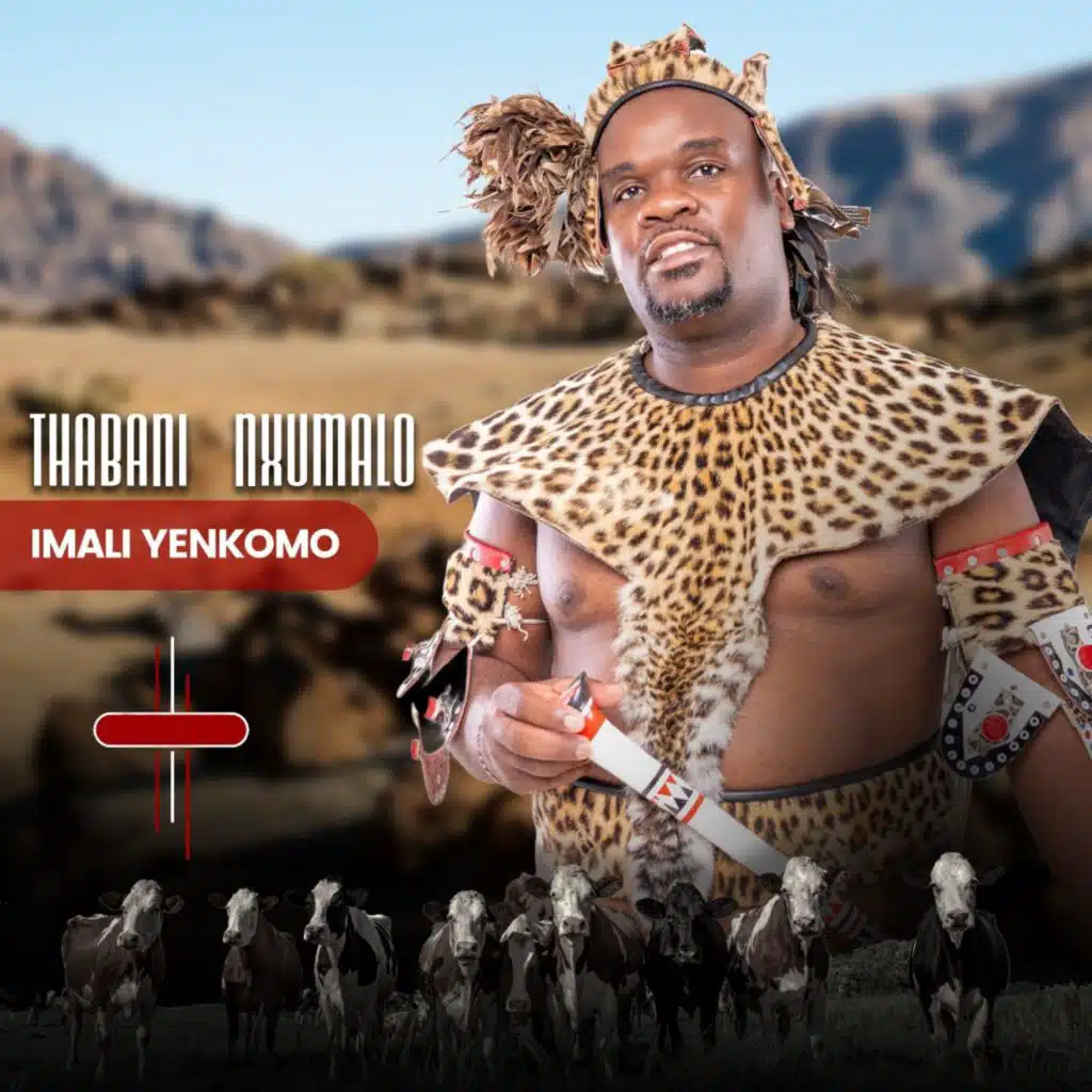 Amabala (feat. Zigizendoda)