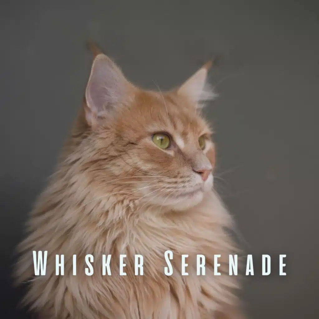 Whisker Serenade: Soothing Meditations for Zen Cats