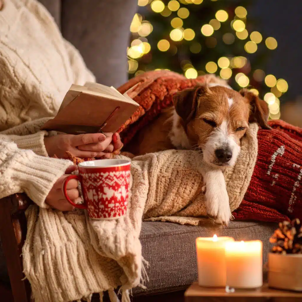 Msica Suave Para Noches Tranquilas De Los Perros