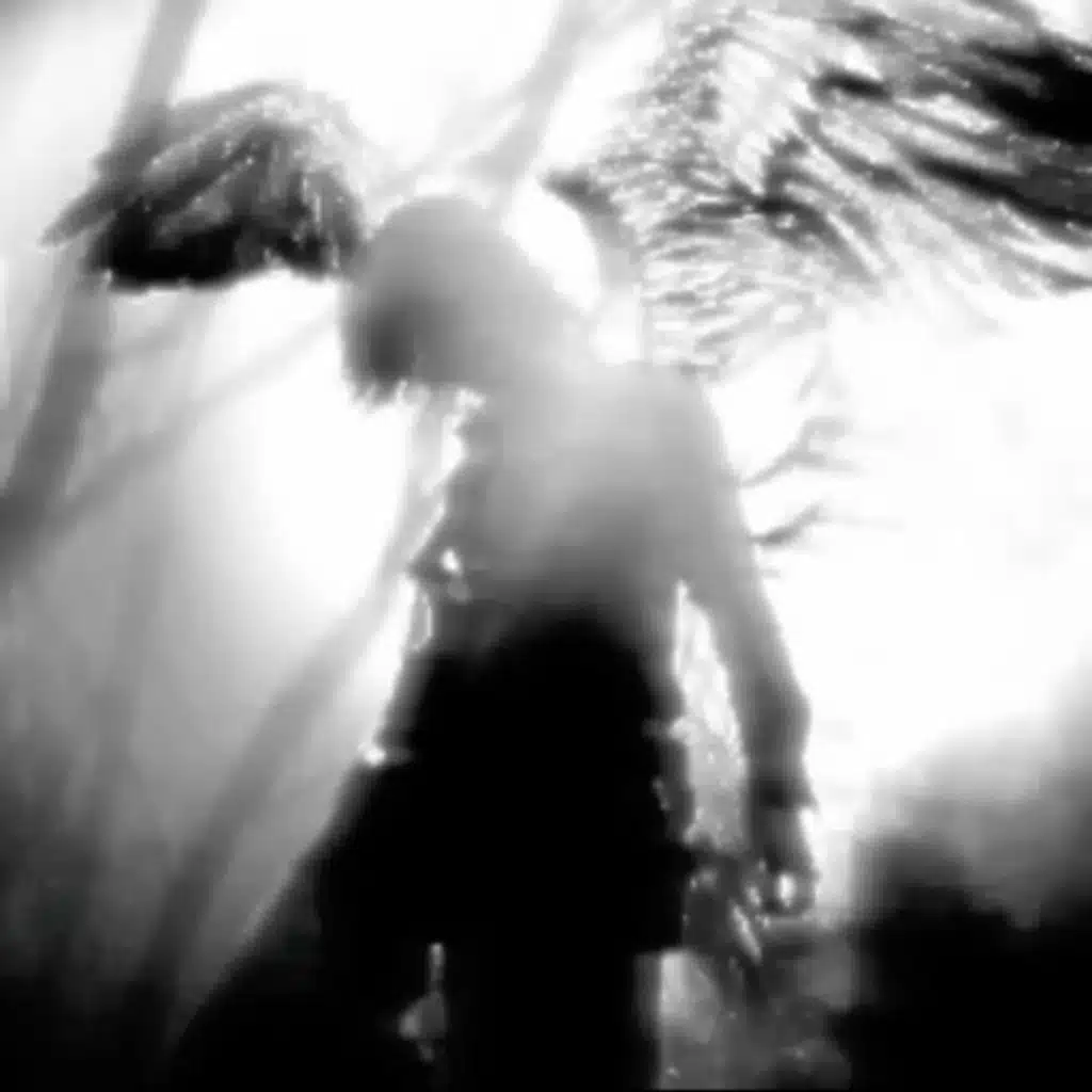 Fallen