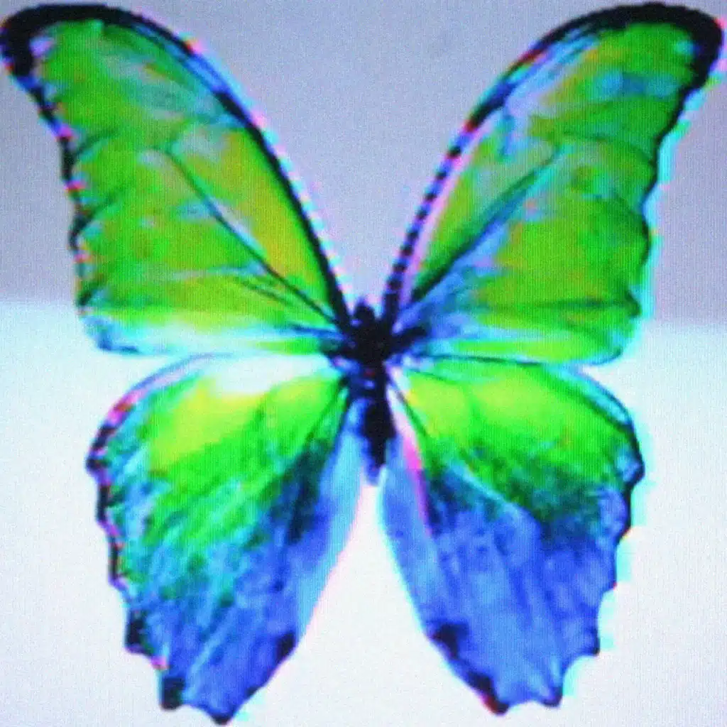 TELEVISTA