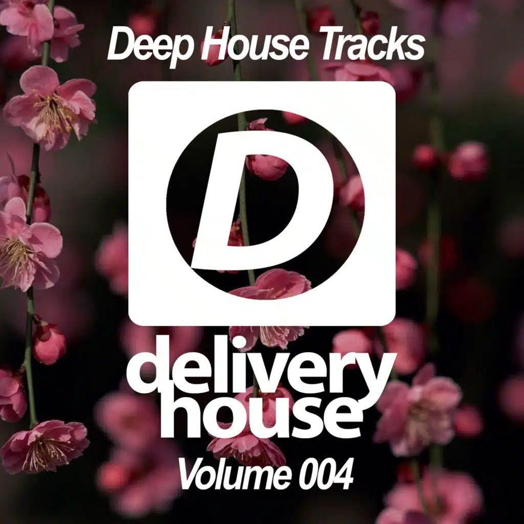 Deep House Tracks (Volume 004)