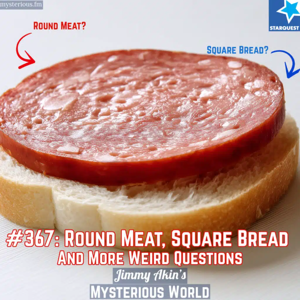 Round Meat? Square Bread? And More Weird Questions