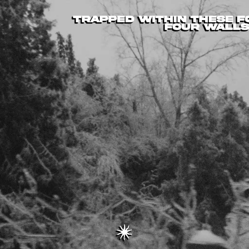 Trapped Within These Four Walls