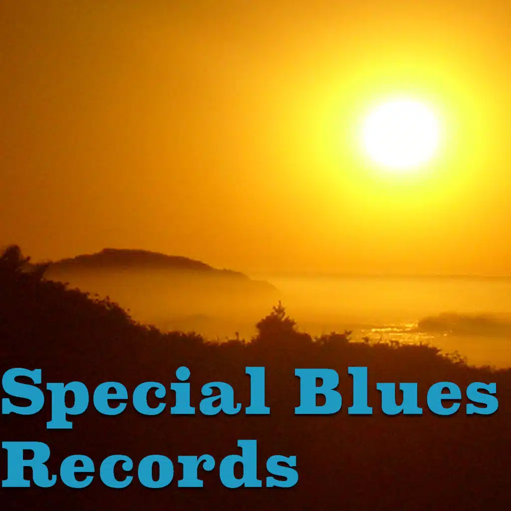 Special Blues Records
