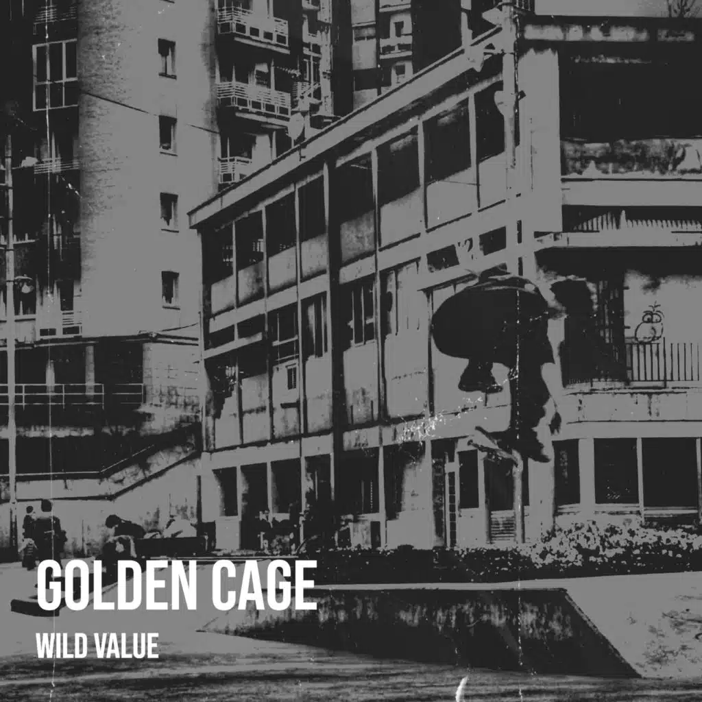 Wild Value