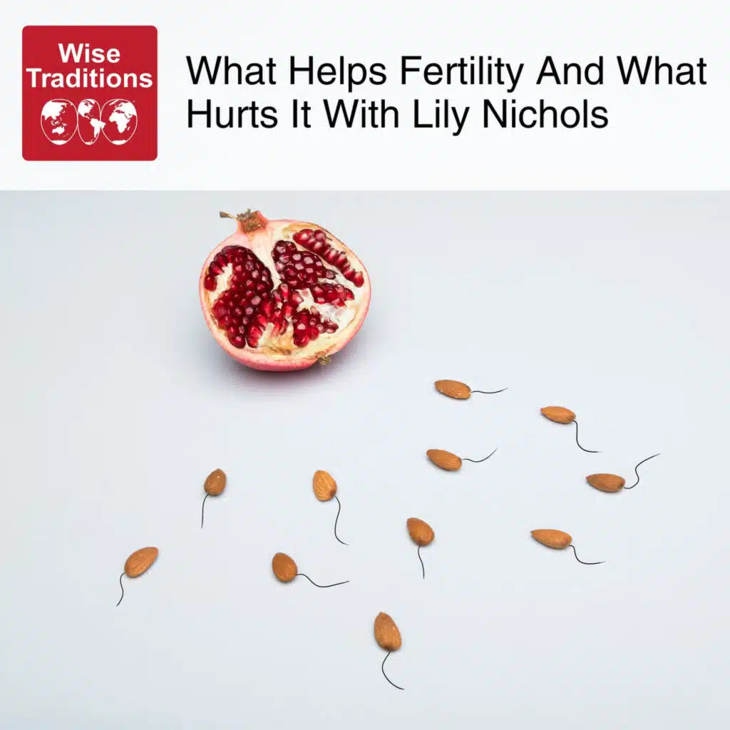 530: What Helps Fertility and What Hurts It with Lily Nichols