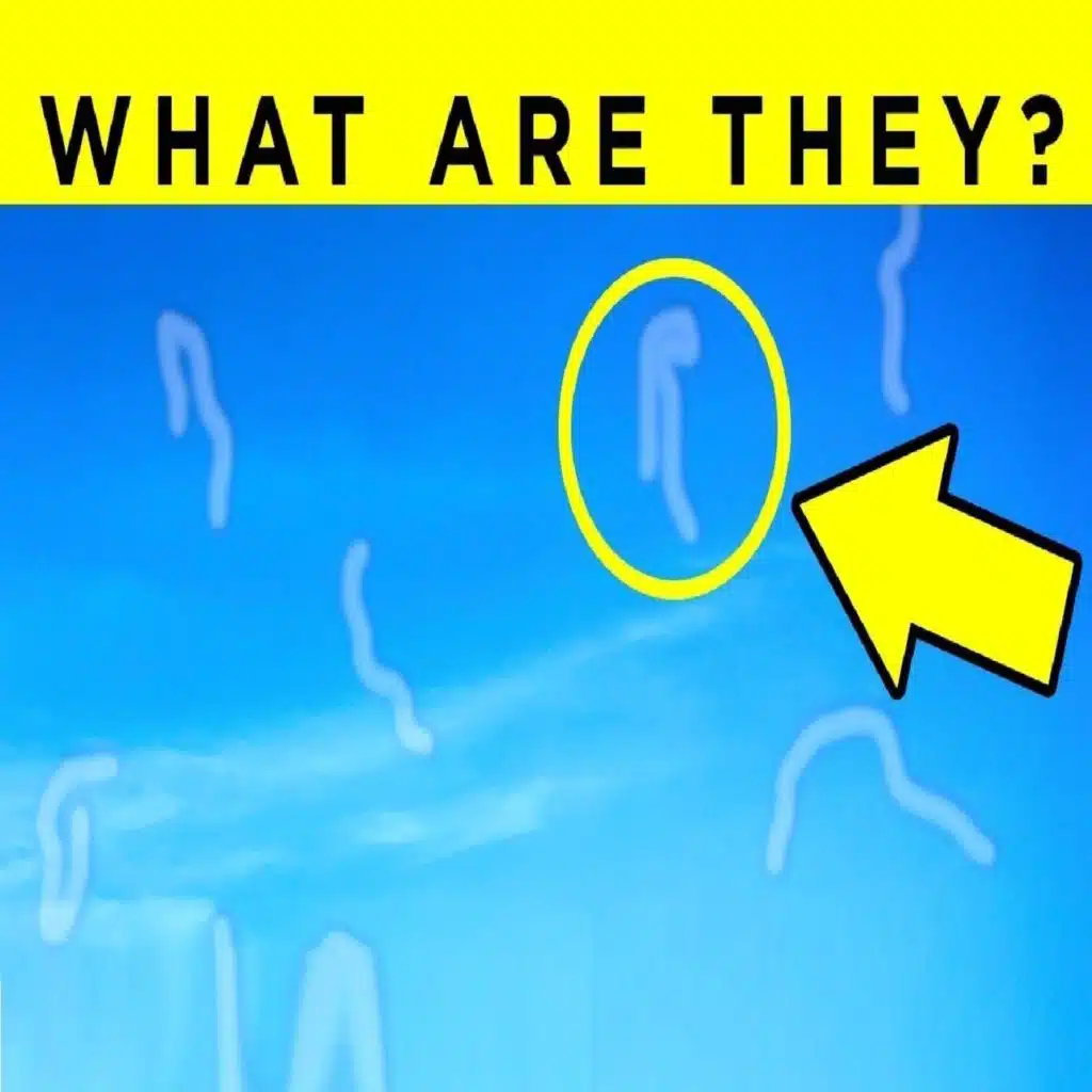 What Are Those Floaty Things In Your Eye? Fact Show