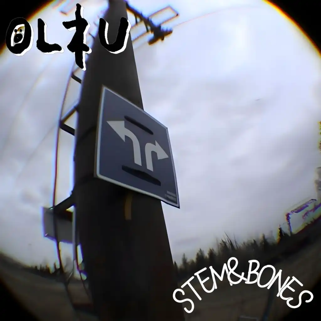 Stem & Bones