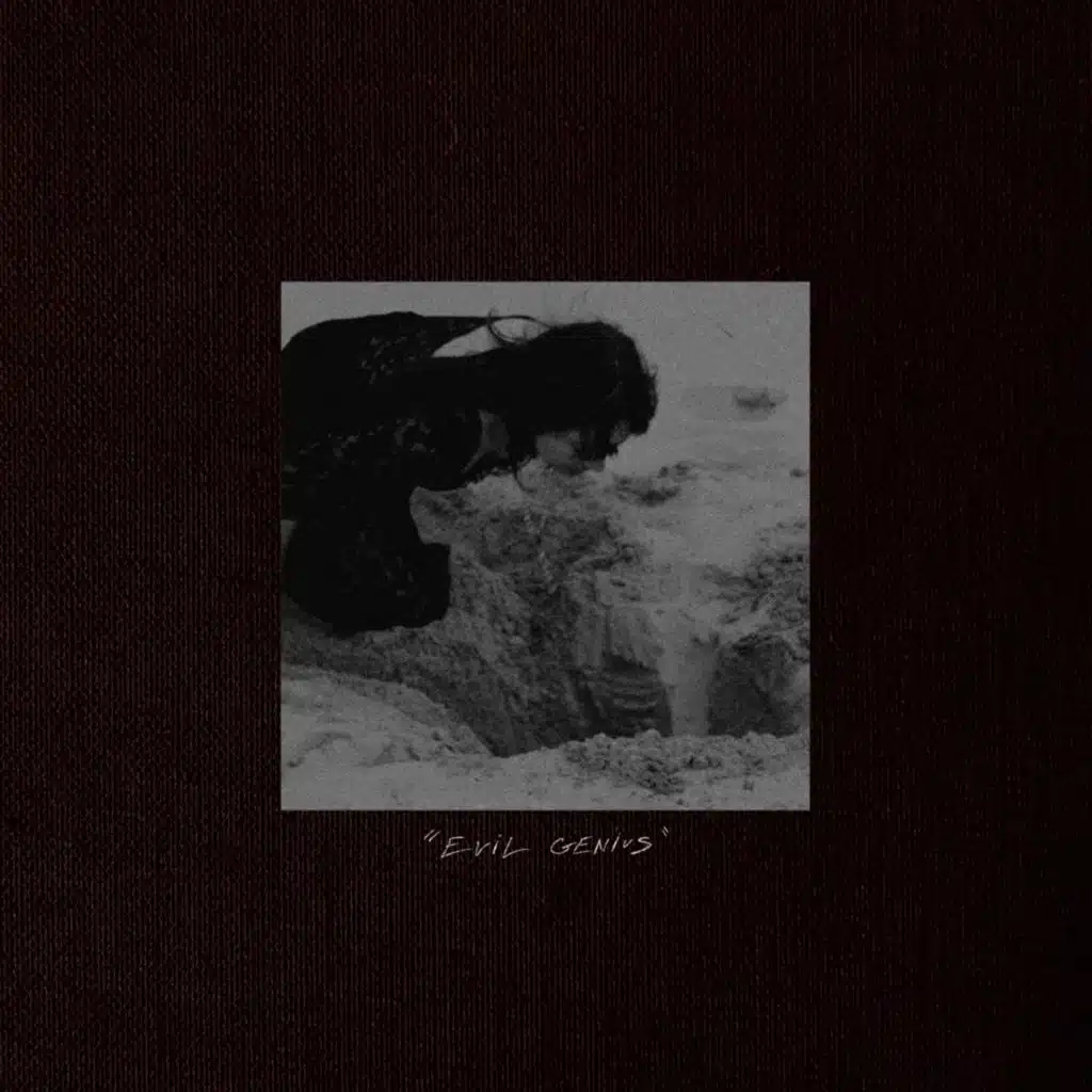 Evil Genius