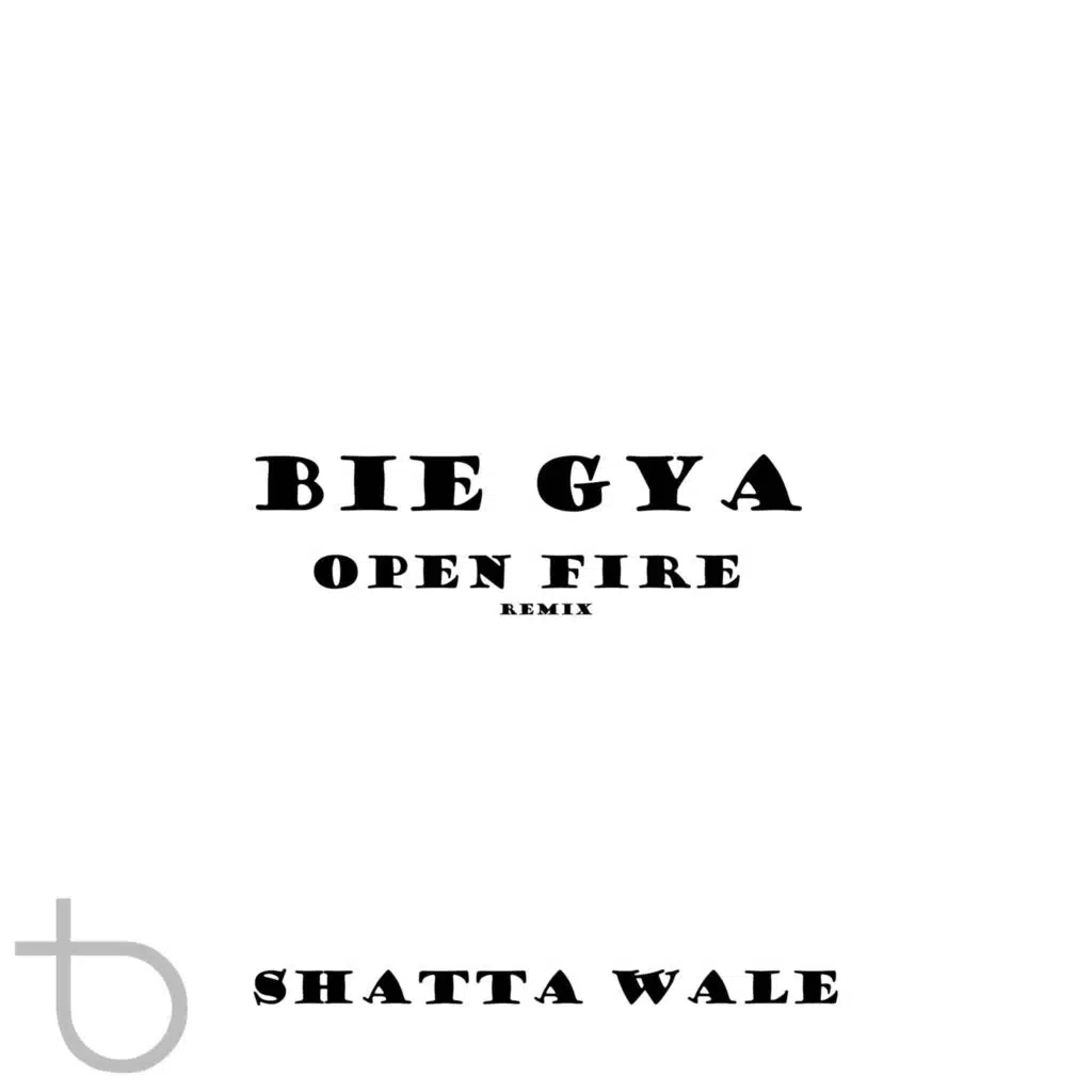 Bie Gya (Open Fire) (Remix)