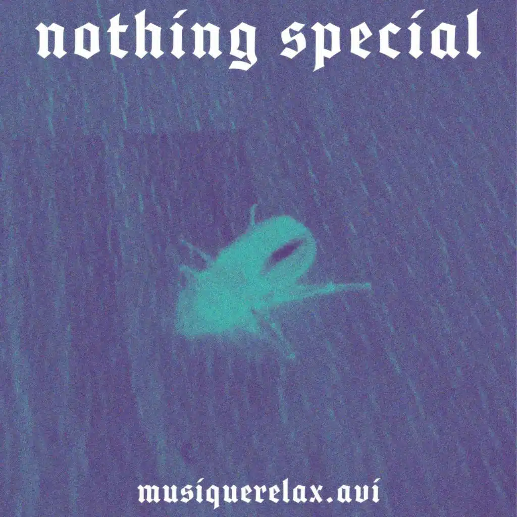 Nothing Special
