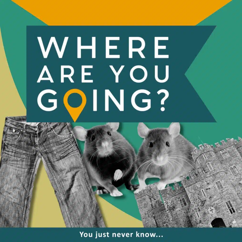 A beer, a rat and pair of jeans