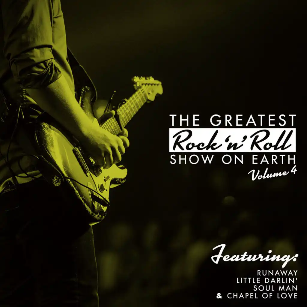 The Greatest Rock 'N' Roll Show On Earth, Vol. 4