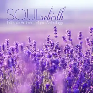 SOUL REBIRTH Intimate Ambient Music Anthology