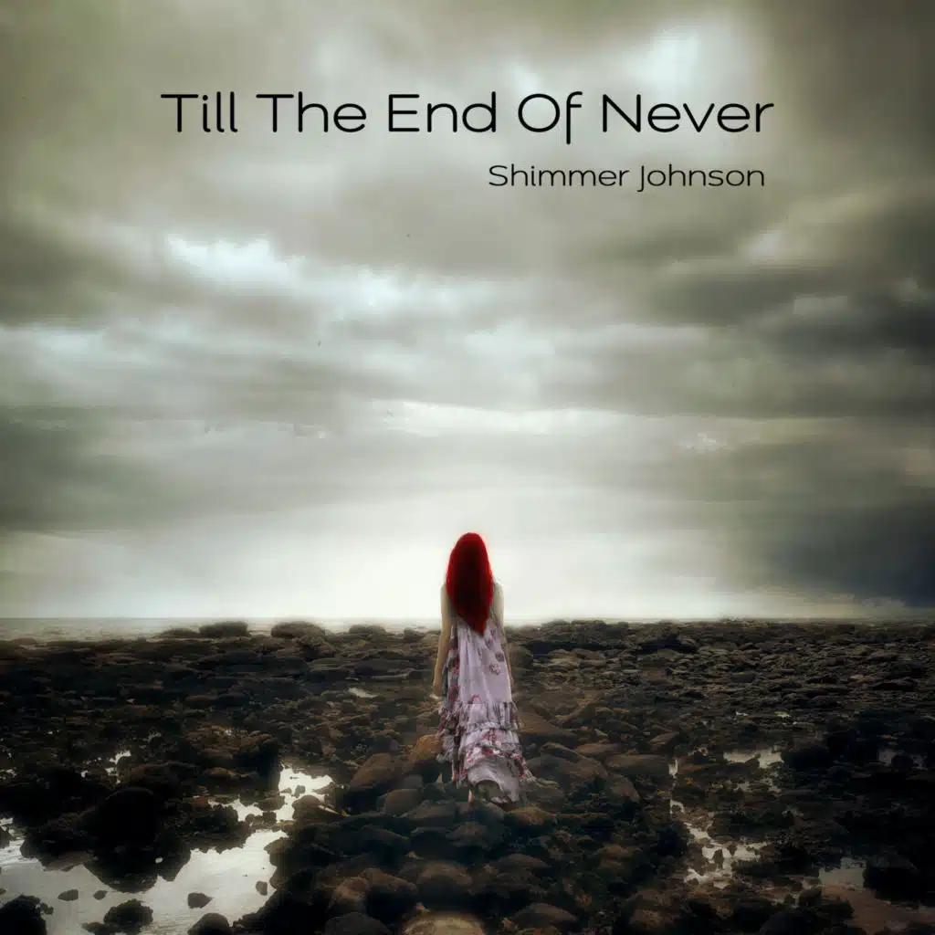 Till The End Of Never