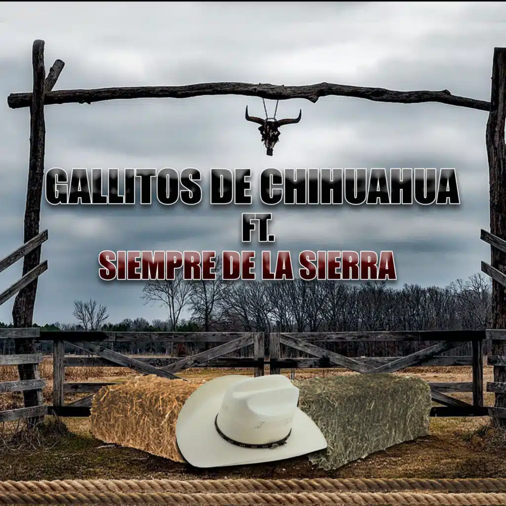 Victor Portillo (feat. Siempre De La Sierra)