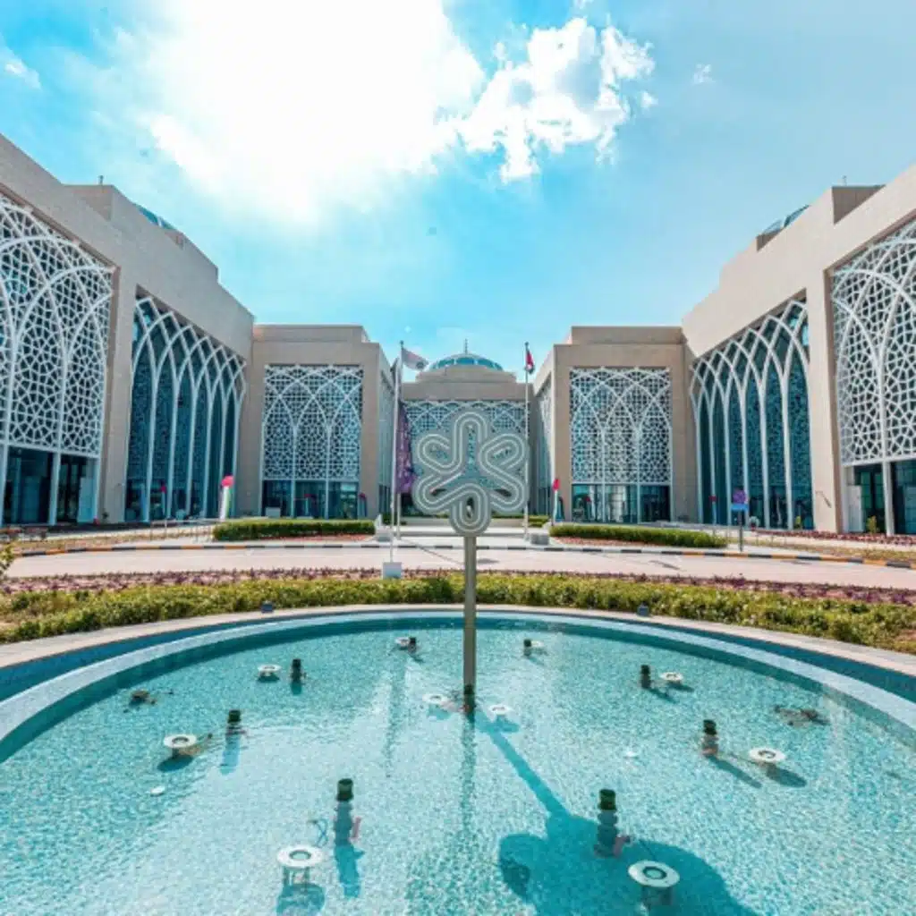 SRTIP Pursuing Further Growth (11/06/25)