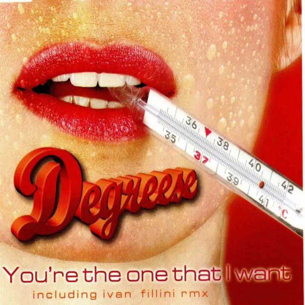 Youre the One That I Want