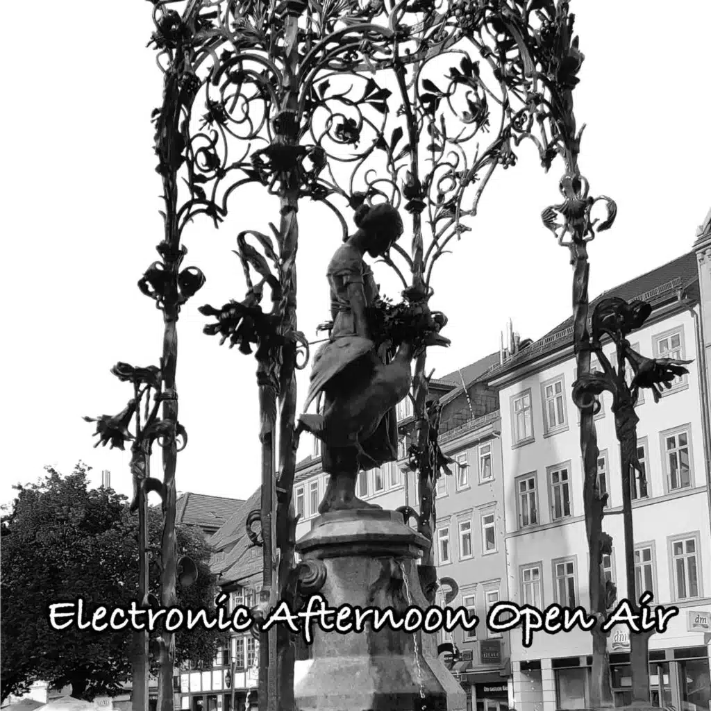 Live @ Electronic Afternoon Open Air - Herr Oppermann