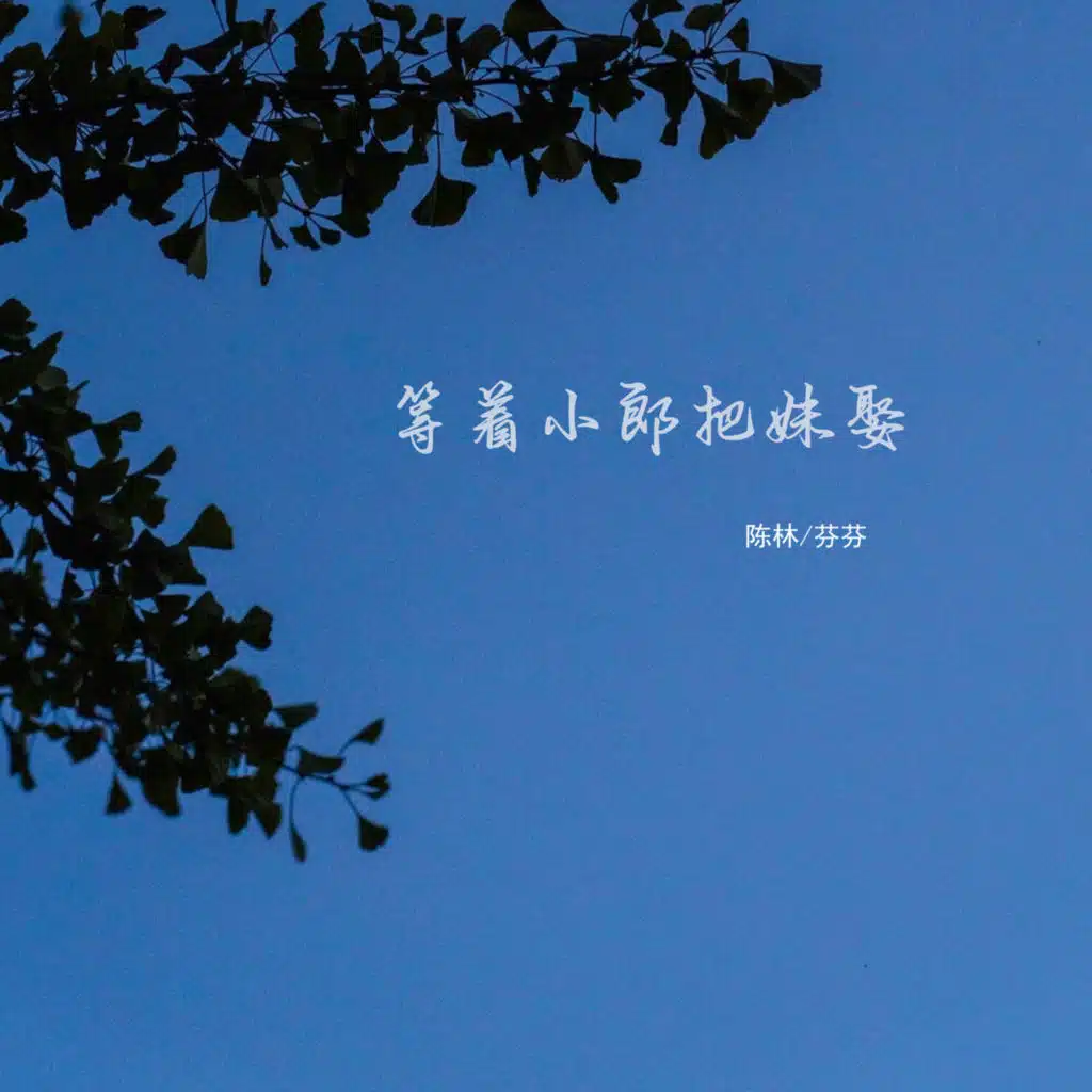 陈林 & 芬芬