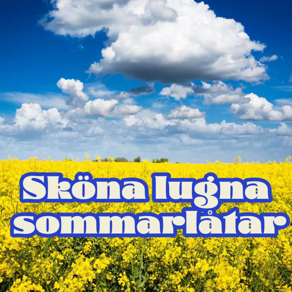 Sköna lugna sommarlåtar