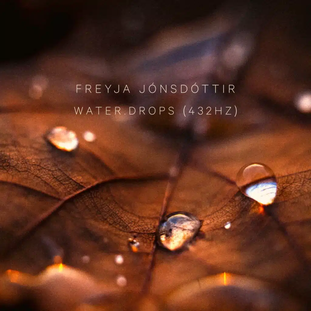 Freyja Jónsdóttir