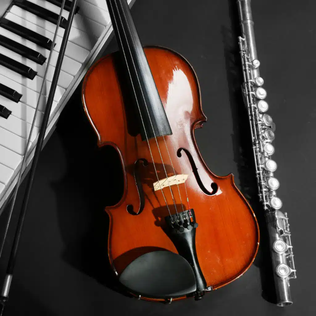 Study Zenith Serenades: Music For Intellectual Growth