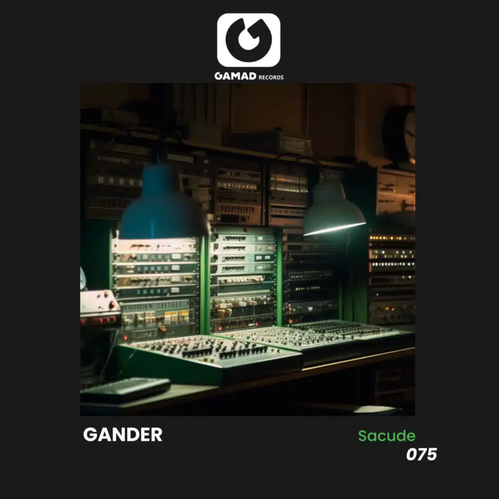 GANDER