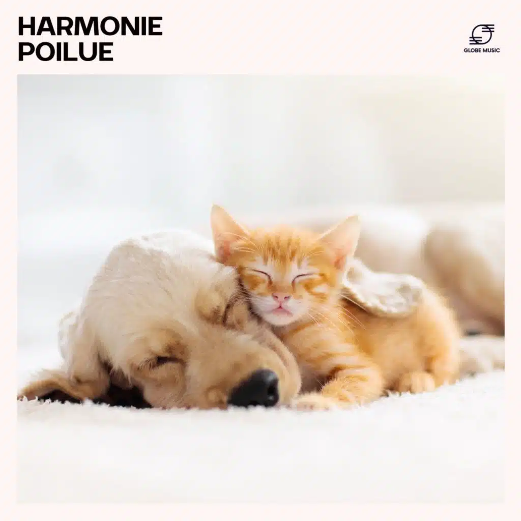 Harmonie Poilue