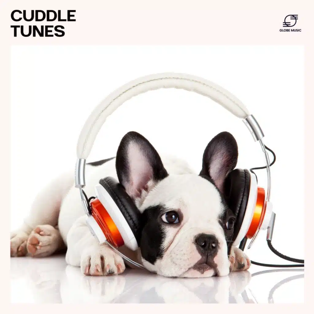 Relax My Pet, Dog Music Library, Pet Lullaby & Pet Sleep