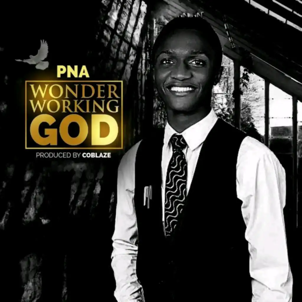 Pna