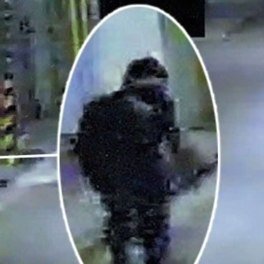 E187: The Ninja of Heisei