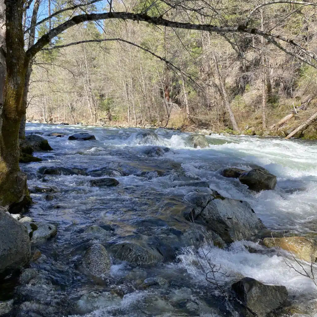 174: All Night Beside the North Fork of the Salmon River