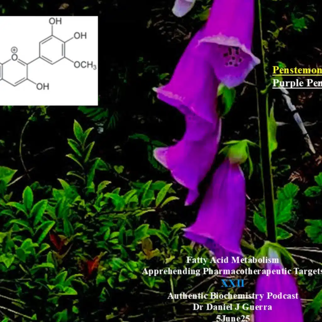 Fatty Acid Metabolism Apprehending Pharmacotherapeutic Targets XXII Authentic Biochemistry Podcast Dr Daniel J Guerra 5June25