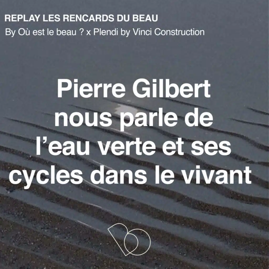 [Hors Serie] 🎤 Zoom sur l'importance de l'eau verte et de ses cycles dans le vivant