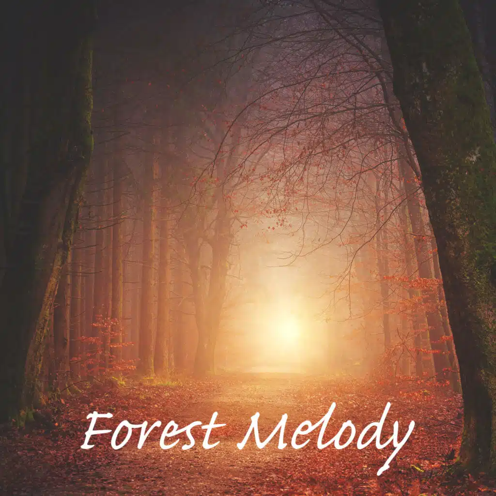 Nature Melodies & Meditation