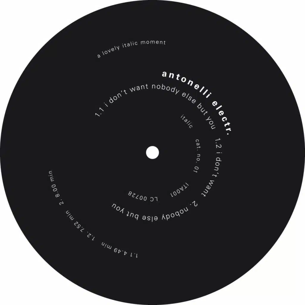 I Don't Want Nobody Else but You