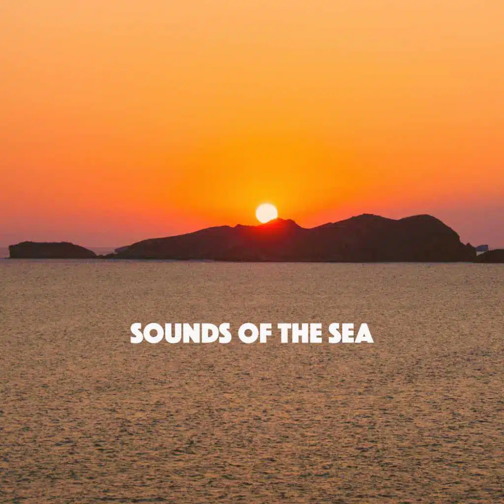 Sounds of the Sea