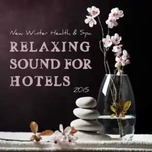 New Winter Health & Spa - Relaxing Sound for Hotels 2015
