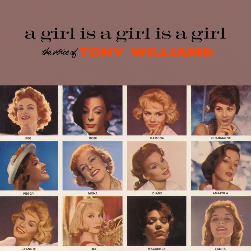 Rose of Washington Square