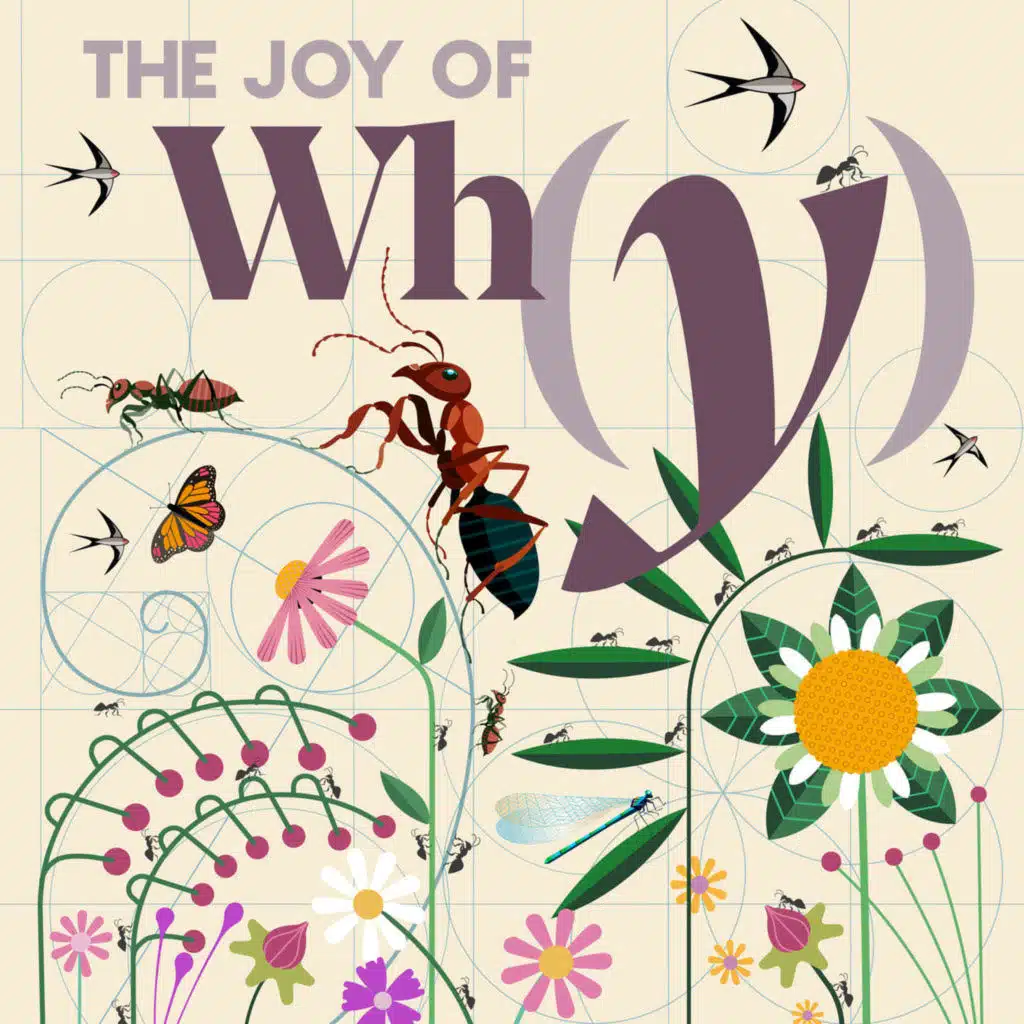 Does Form Really Shape Function?