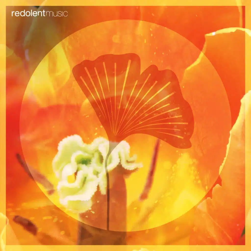 Loco Morocco (feat. DJ Chus)