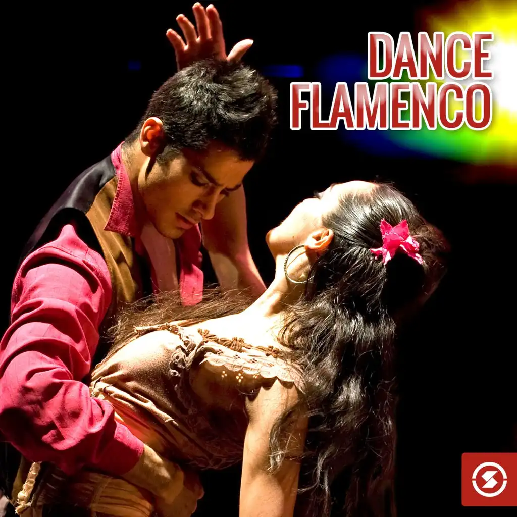 Dance Flamenco!