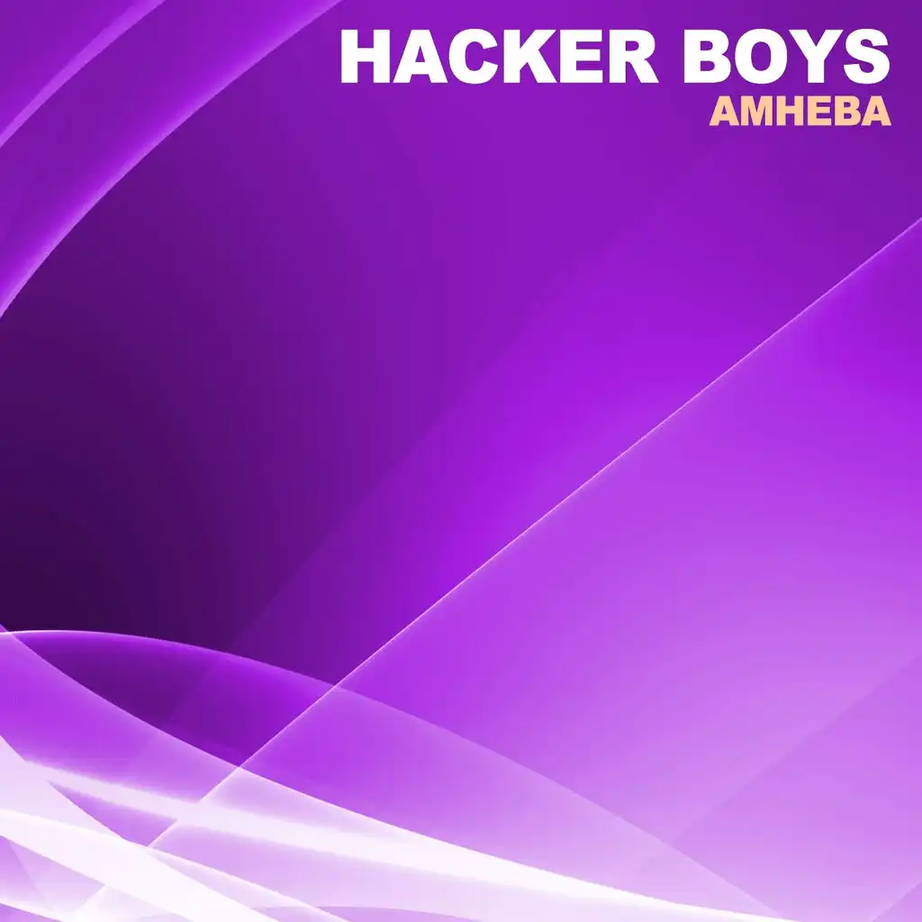 Hacker Boys